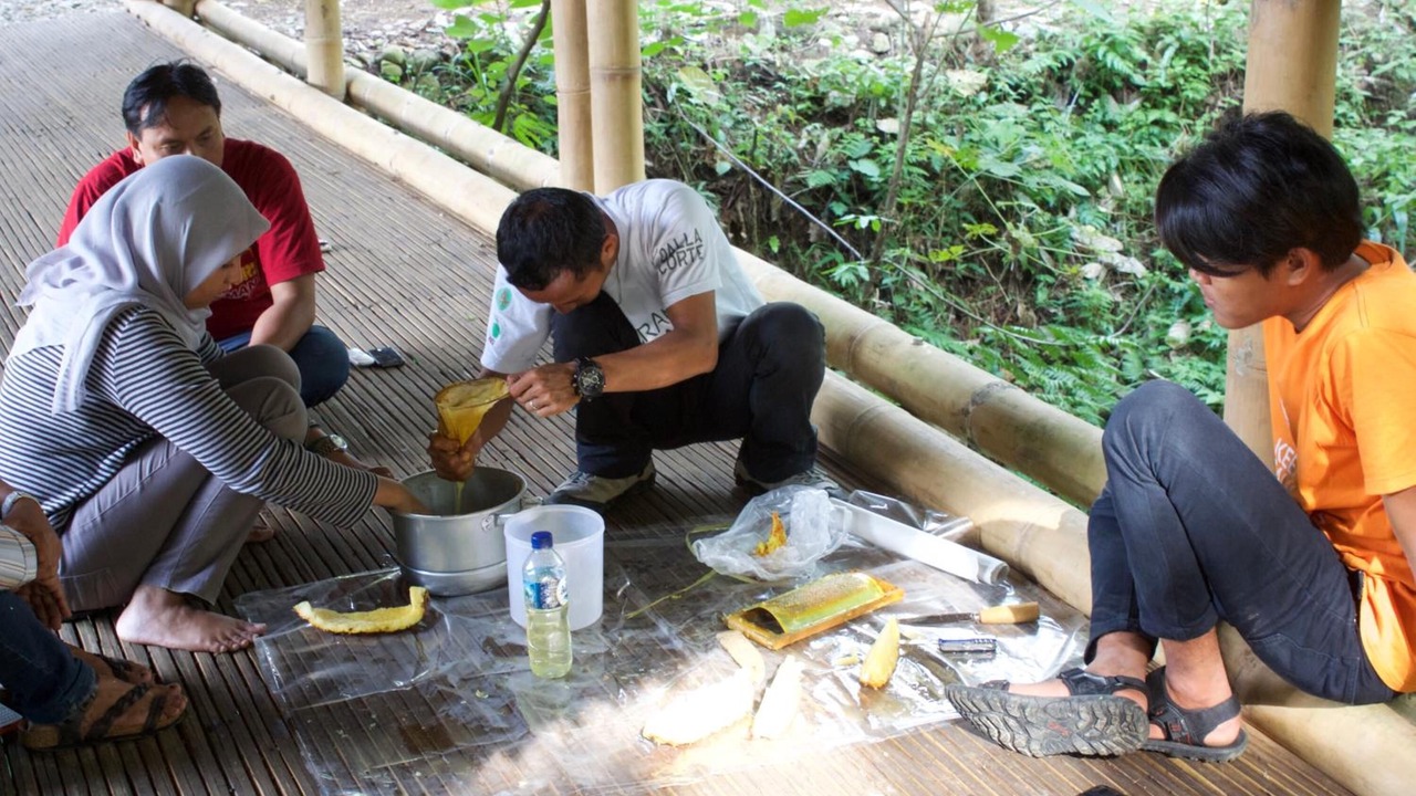 Photo of Others in Bukit Lawang