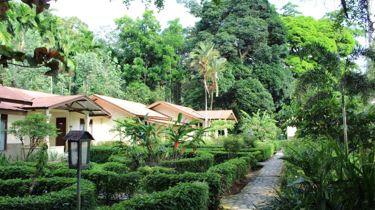 Photo of Outdoor in Bukit Lawang