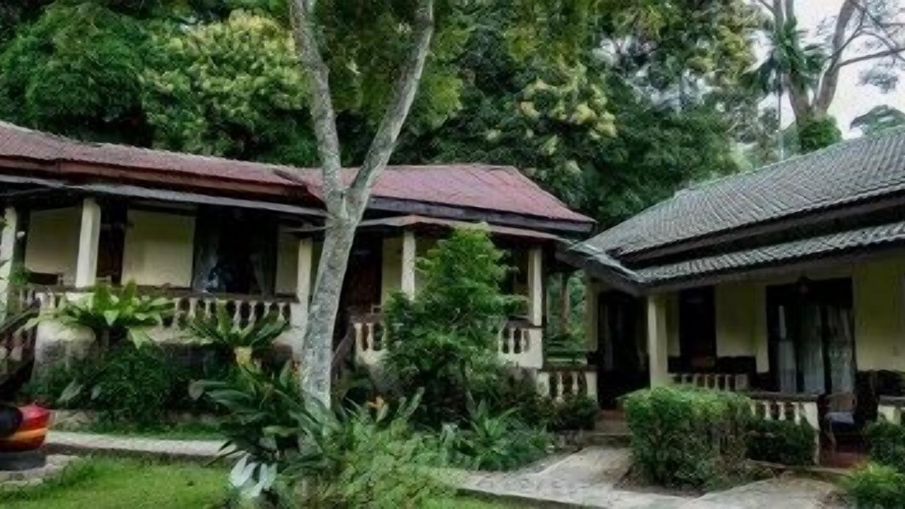 Photo of Outdoor in Bukit Lawang