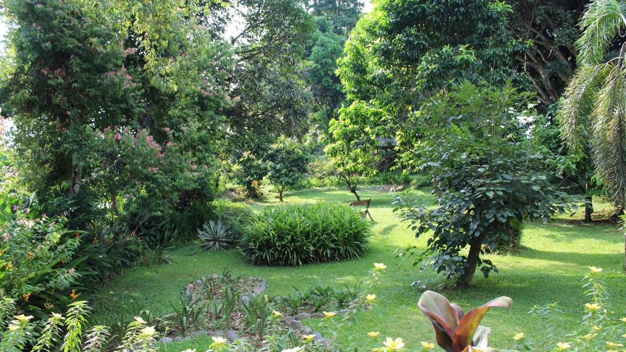 Photo of Outdoor in Bukit Lawang