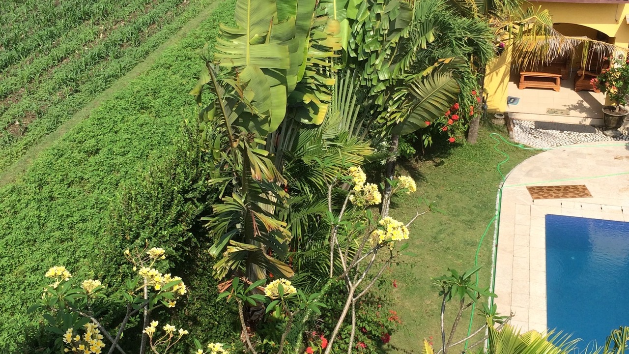 Photo of Outdoor in Pleret