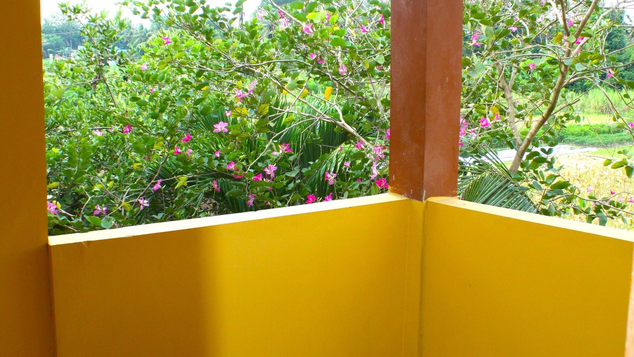 Photo of Patio Balcony in Pleret
