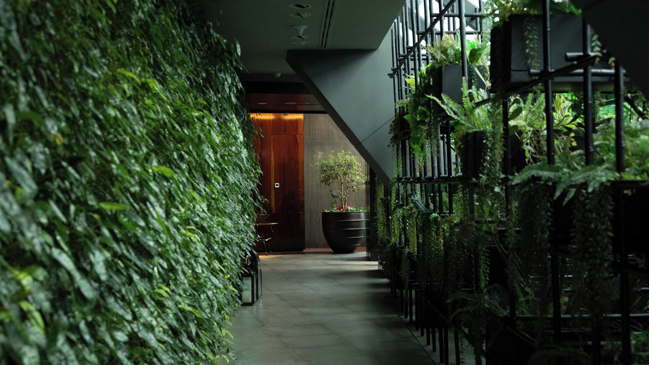 Photo of Patio Balcony in Daun Penh