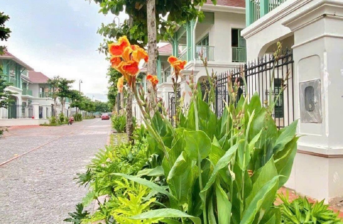 Photo of Outdoor in An Thoi