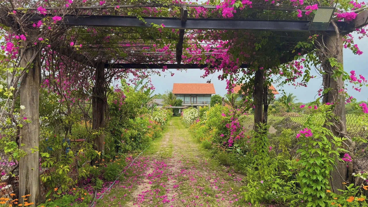 Photo of Outdoor in Phuoc Thuan