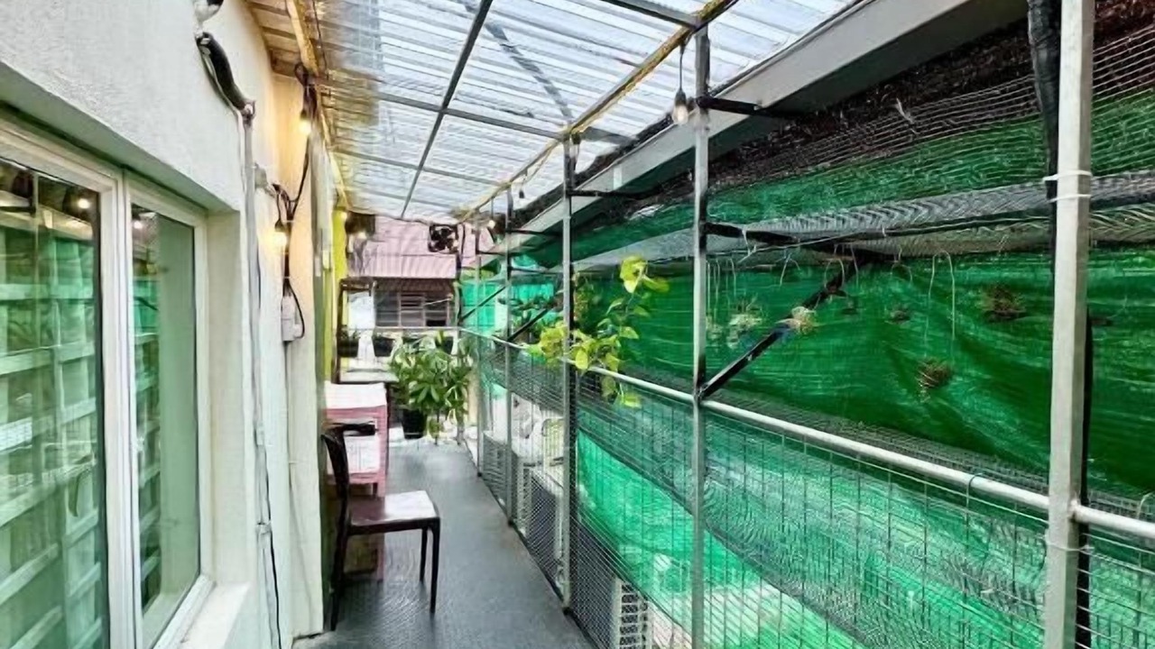 Photo of Outdoor in Downtown George Town