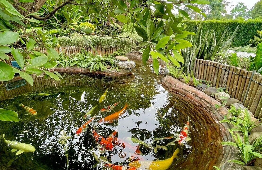 Photo of Outdoor in K. Phu Pieng
