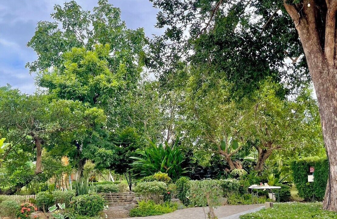 Photo of Outdoor in K. Phu Pieng