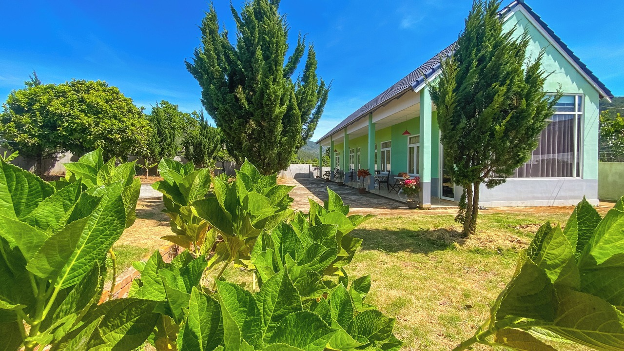 Photo of Outdoor in Da Lat