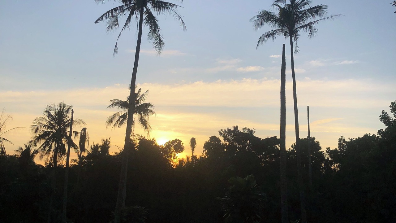 Photo of Outdoor in Ko Kood
