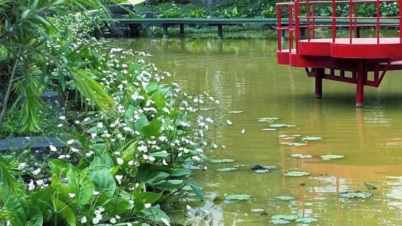 Photo of Outdoor in Thach That