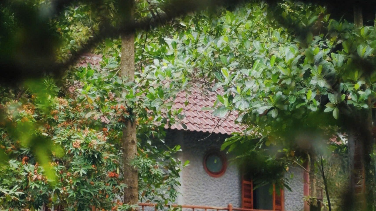 Photo of Outdoor in Hoa Vang