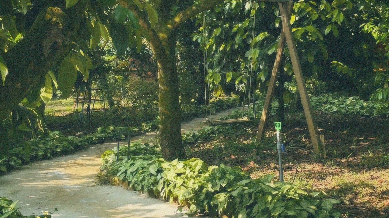 Photo of Outdoor in Bao Loc