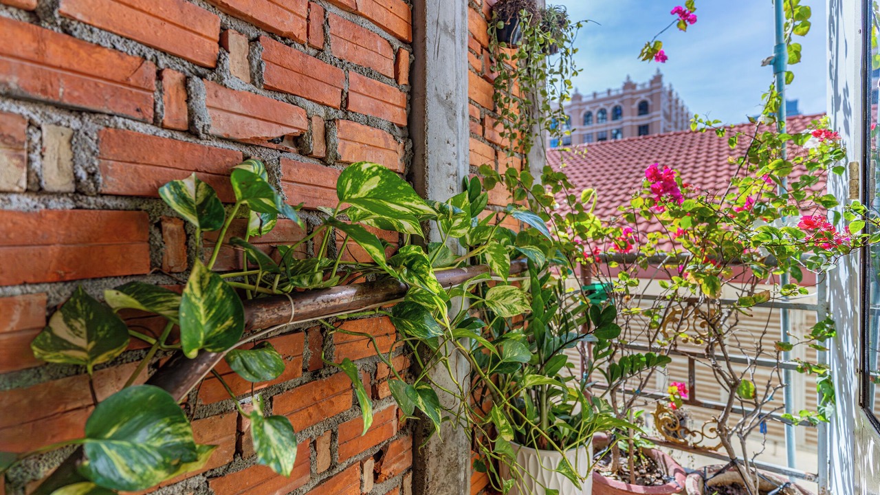 Photo of Patio Balcony in Chamkar Mon