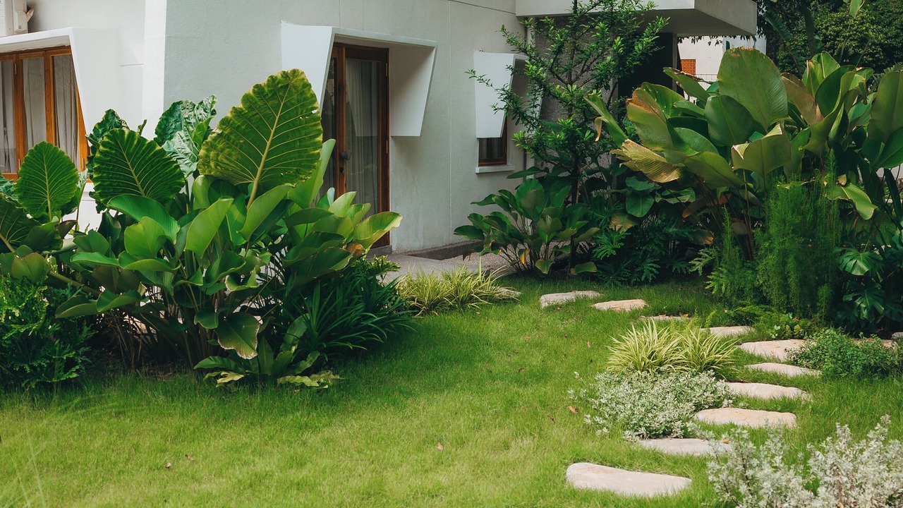Photo of Patio Balcony in Thu Duc