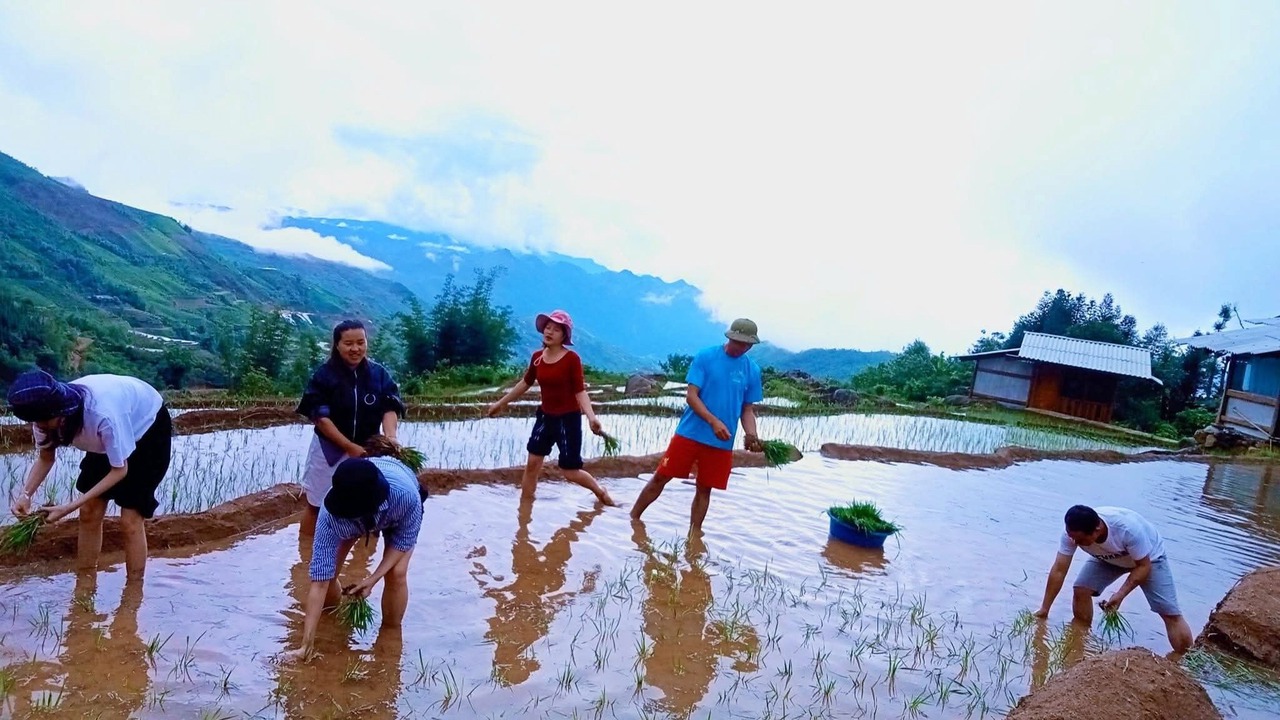 Photo of Others in Phong Tho