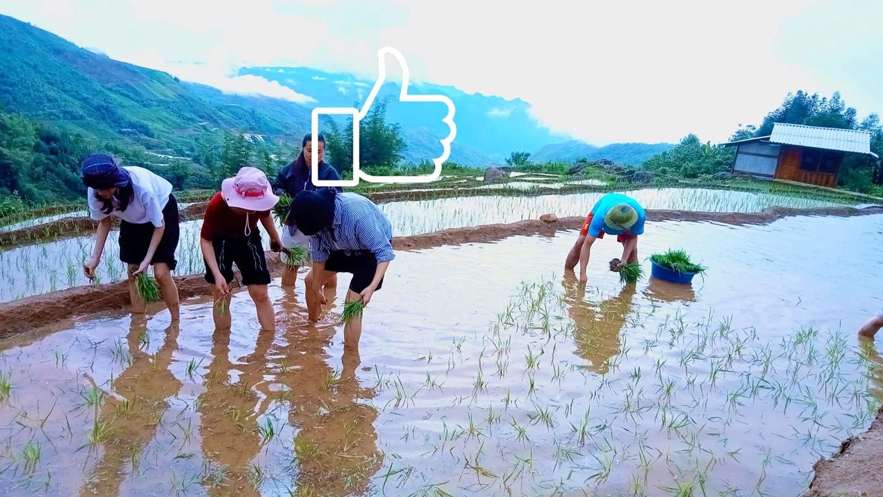 Photo of Outdoor in Phong Tho