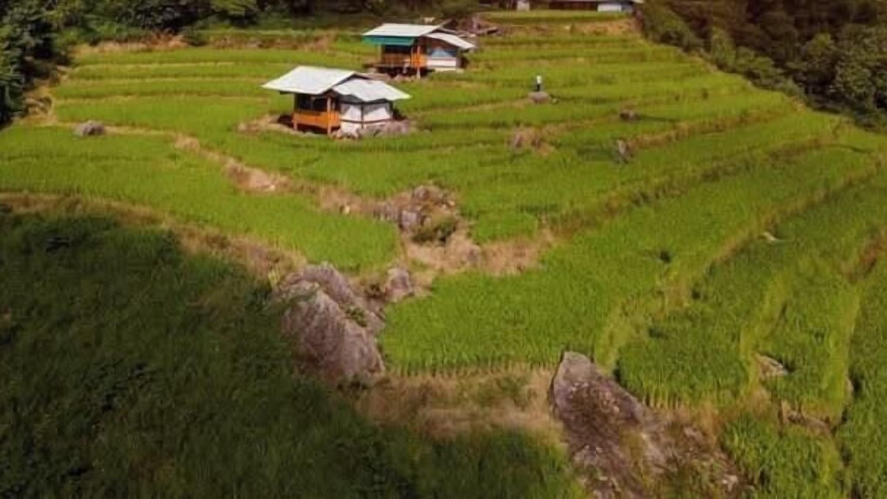 Photo of Outdoor in Phong Tho