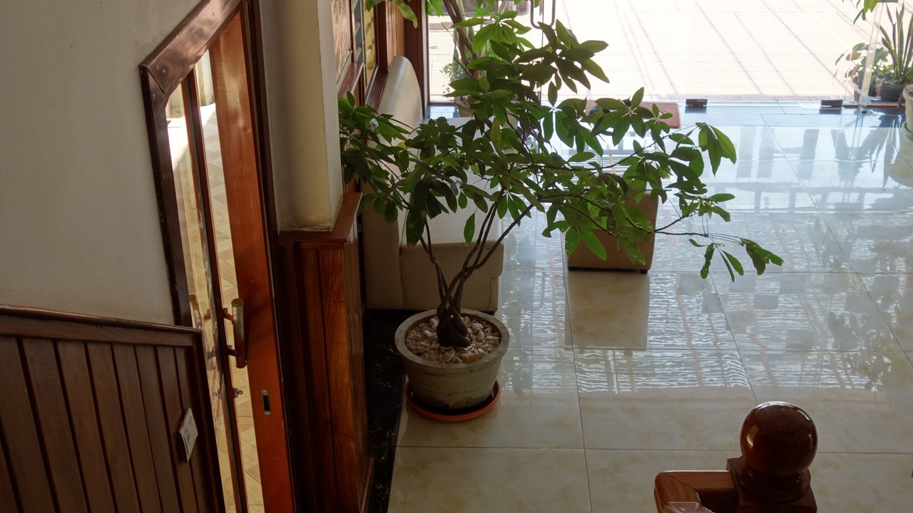 Photo of Others in Kampot