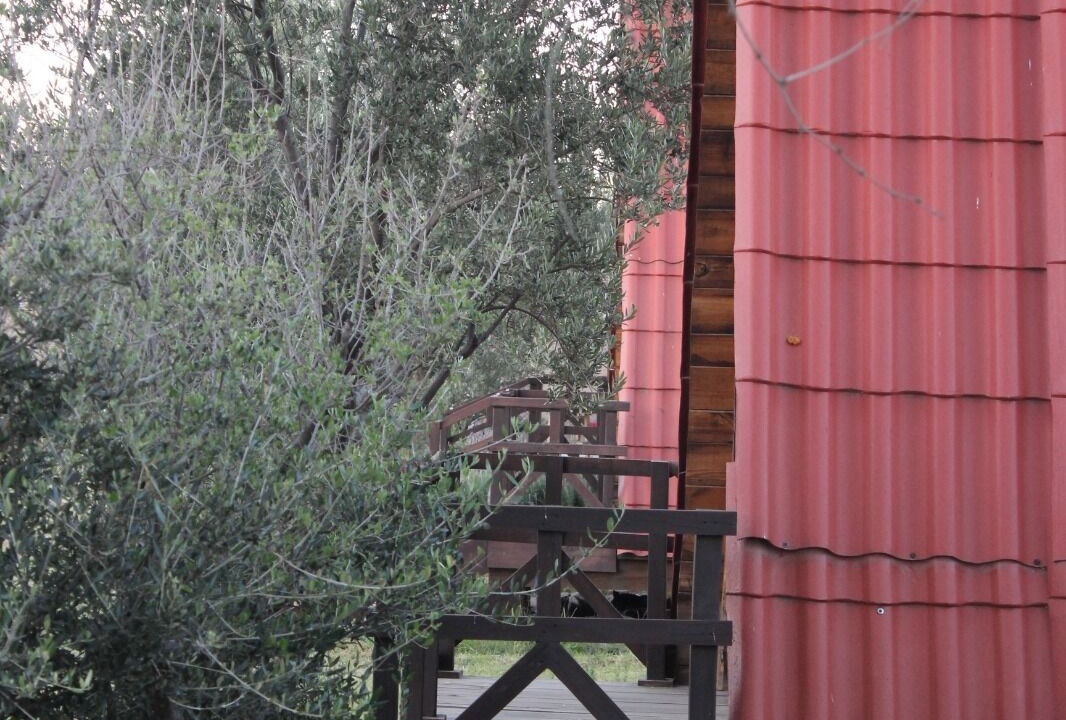 Photo of Outdoor in Pabellon de Arteaga