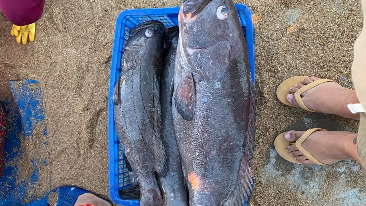 Photo of Others in Dong Hoa