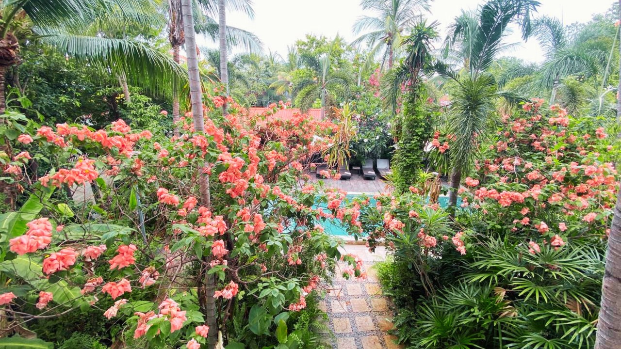 Photo of Patio Balcony in Wat Bo Area