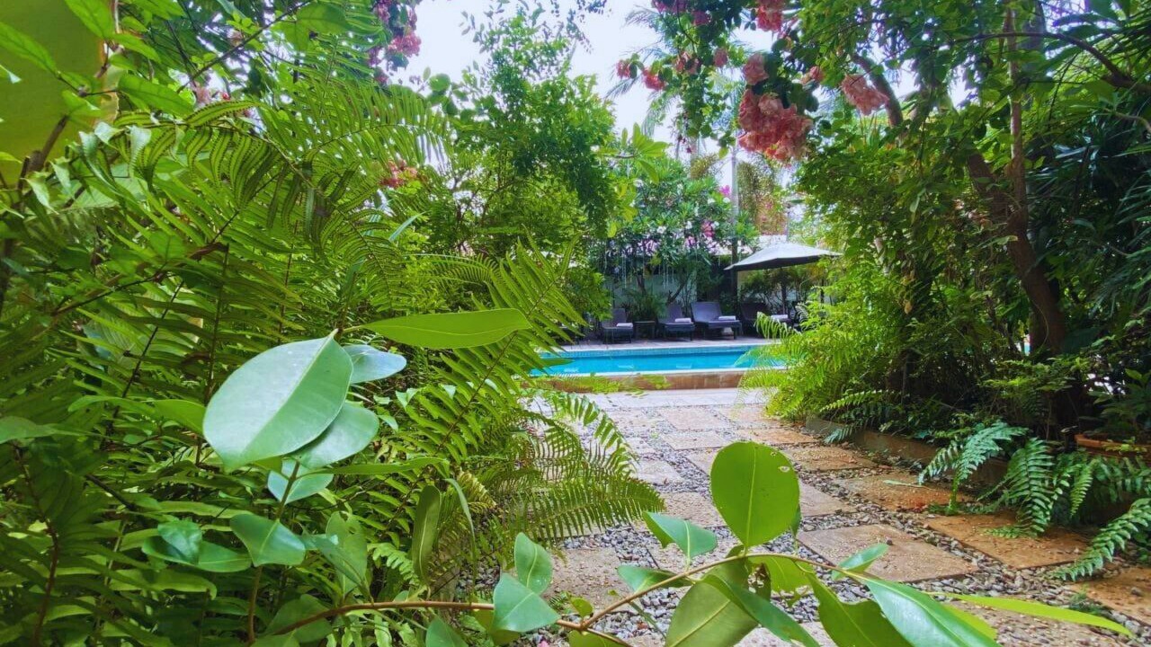 Photo of Outdoor in Wat Bo Area