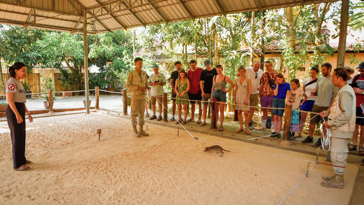 Photo of Others in Siem Reap