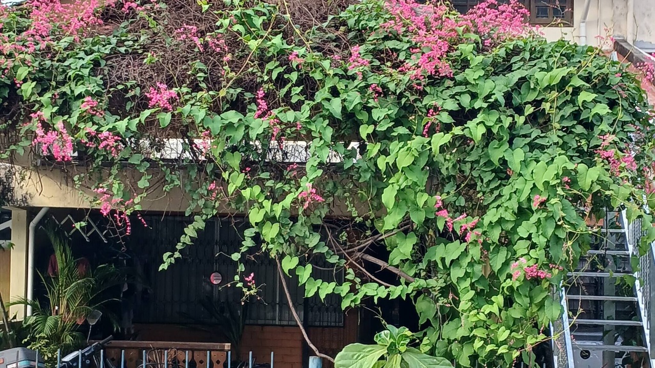 Photo of Patio Balcony in Kelang Gates Baharu