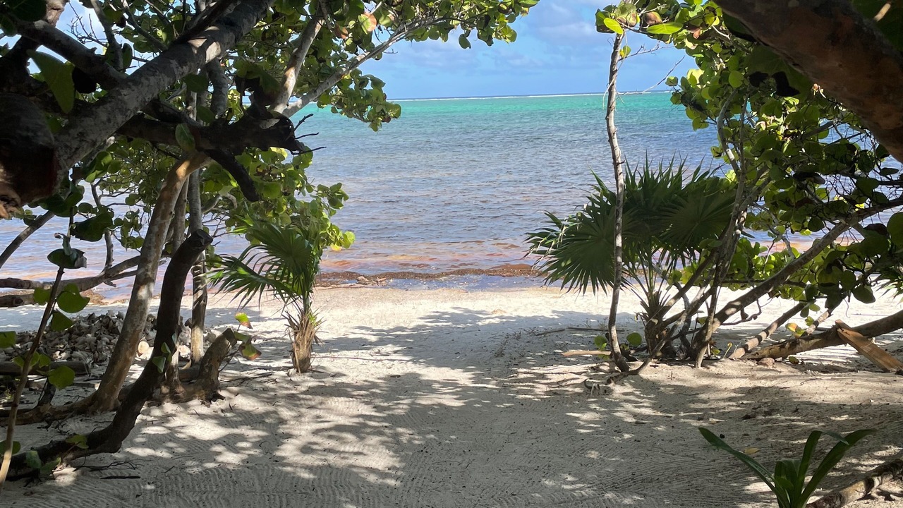 Photo of Outdoor in Xcalak