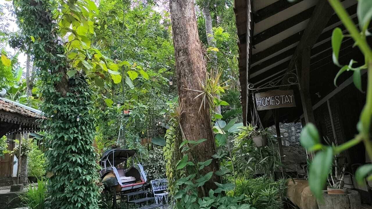 Photo of Outdoor in Patuk