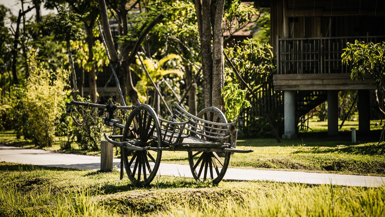 Photo of Outdoor in Siem Reap