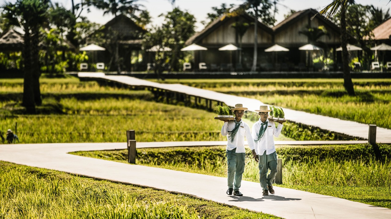 Photo of Outdoor in Siem Reap