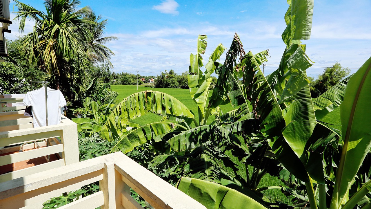 Photo of Outdoor in Cam Chau