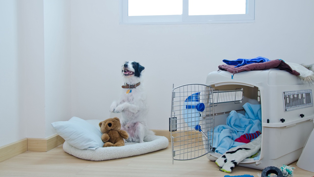 Photo of Bedroom in Bang Wa