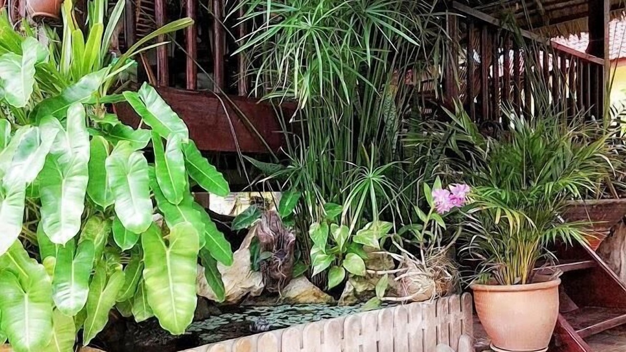 Photo of Outdoor in Kuah