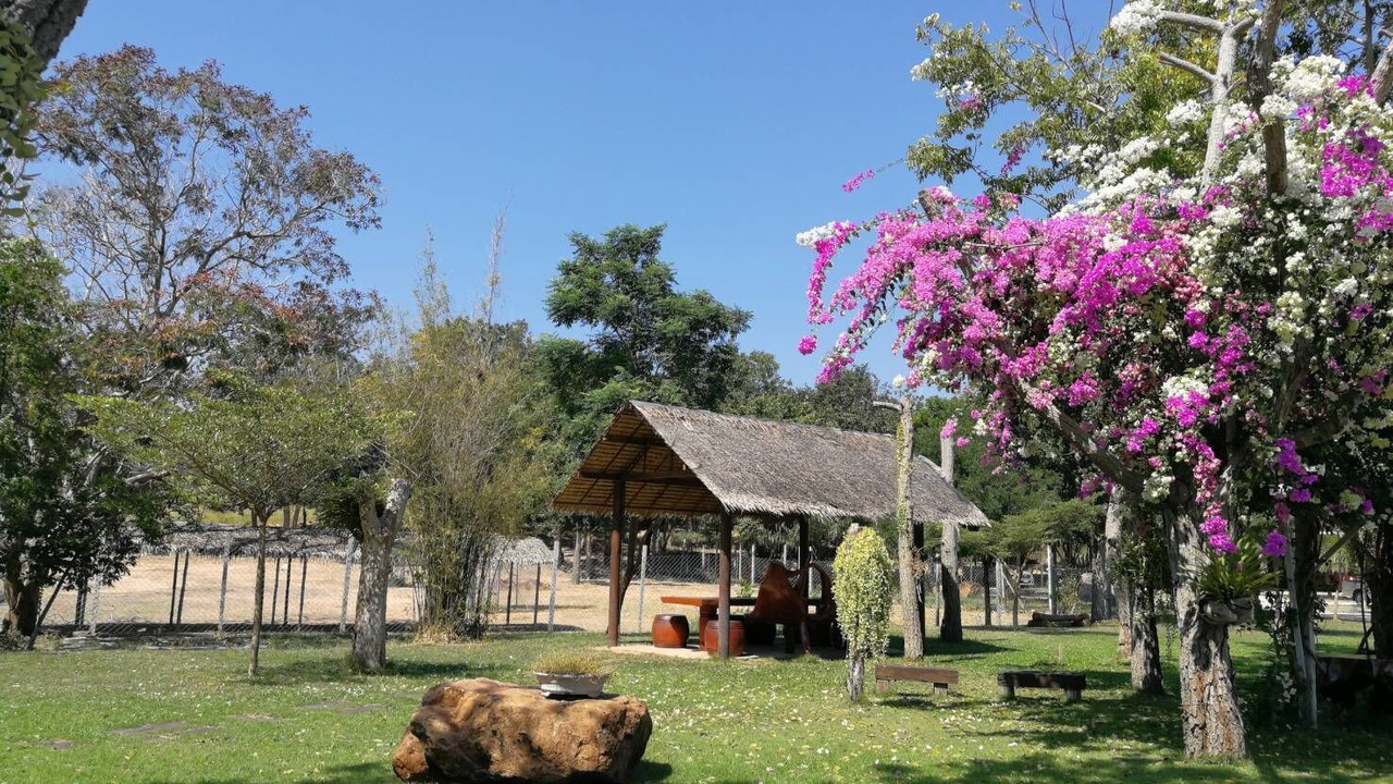 Photo of Outdoor in Thap Sakae