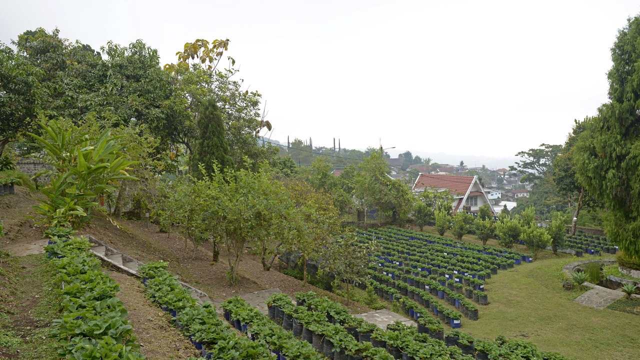 Photo of Outdoor in Tretes