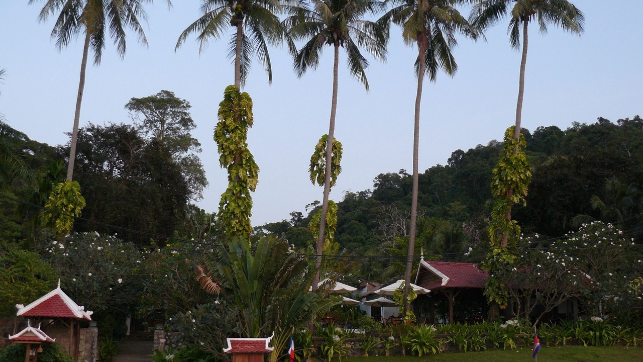 Photo of Others in Krong Kaeb