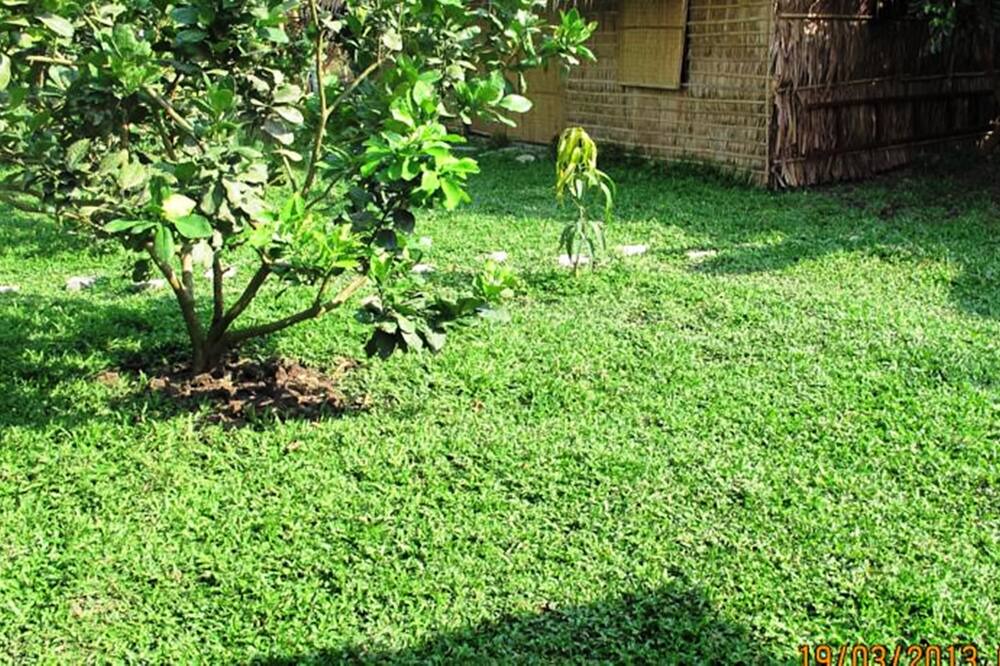 Photo of Outdoor in Vi Thuy
