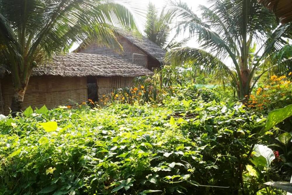 Photo of Outdoor in Vi Thuy