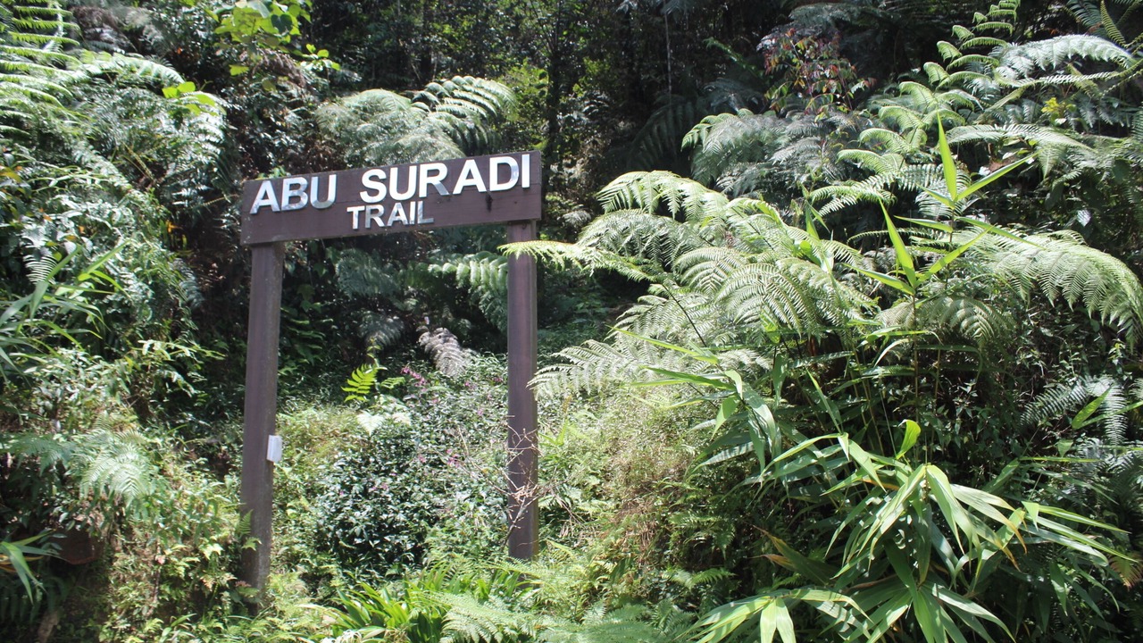 Photo of Outdoor in Bukit Fraser