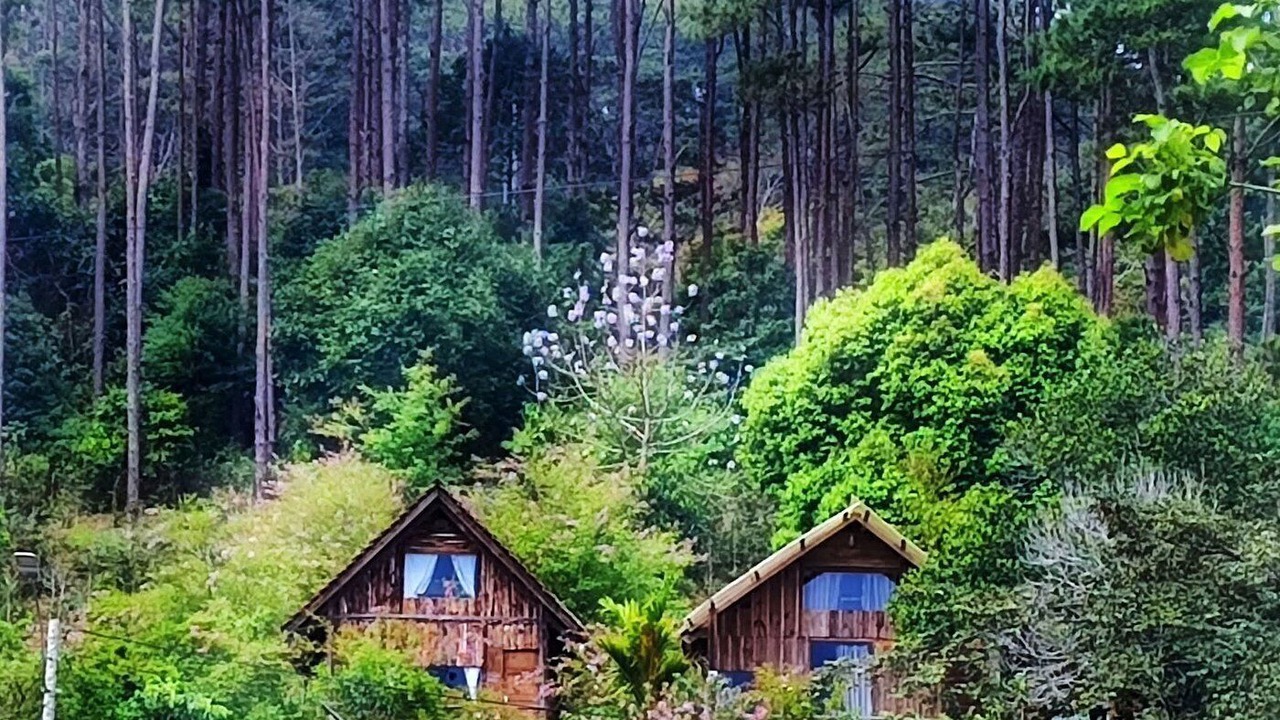 Photo of Outdoor in Kon Plong