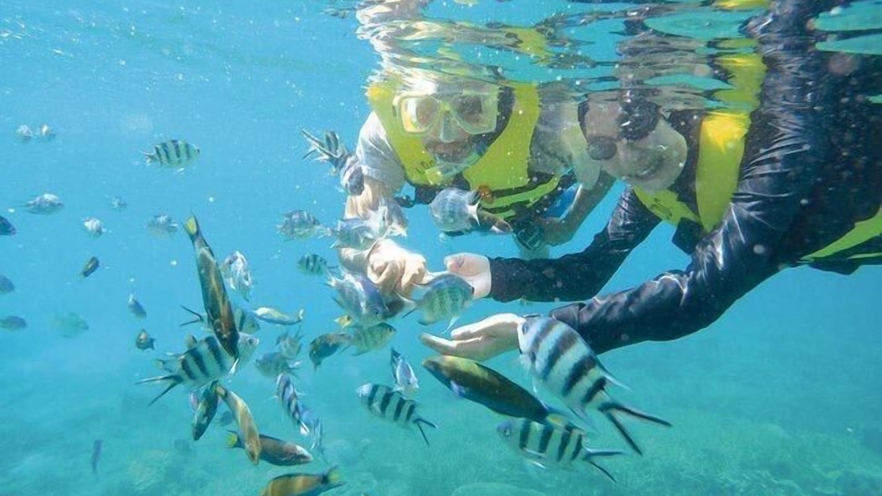 Photo of Others in Pulau Perhentian Kecil