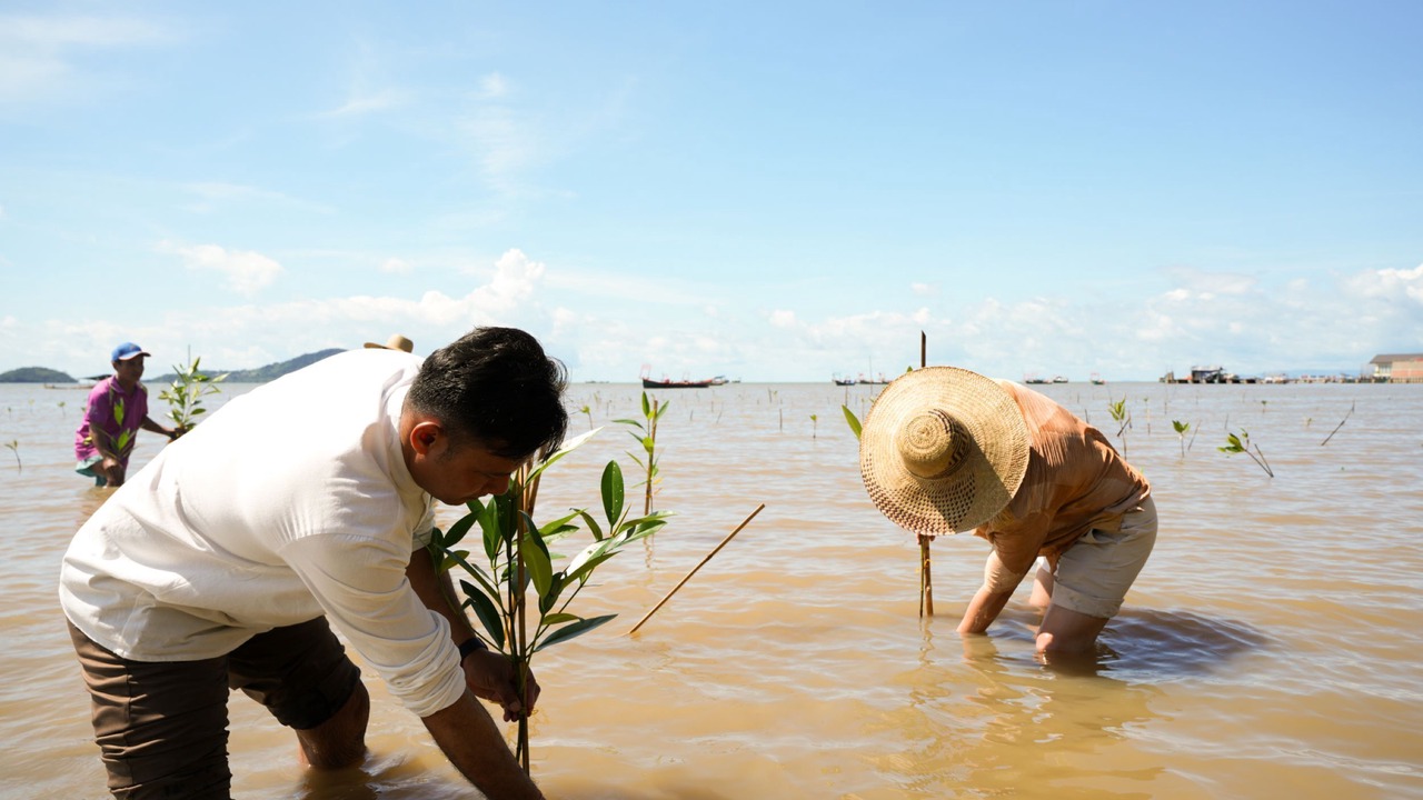 Photo of Outdoor in Kep