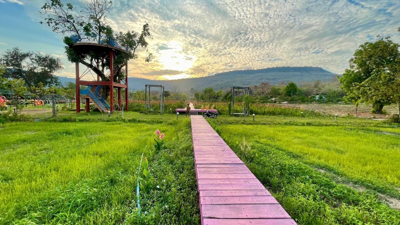 Photo of Outdoor in Svay Leu