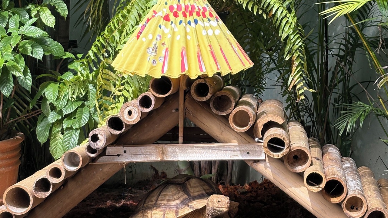 Photo of Outdoor in Mae Pong