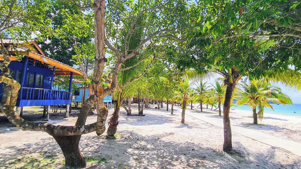 Photo of Others in Koh Rong