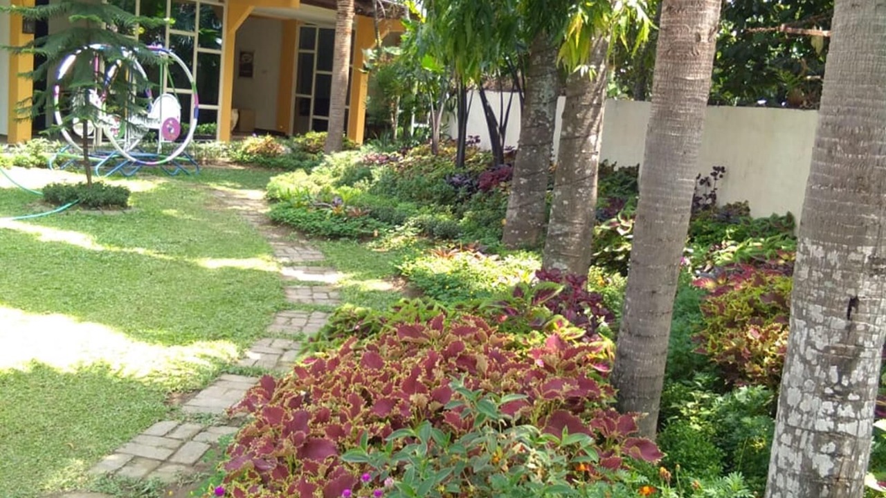 Photo of Outdoor in Ngemplak