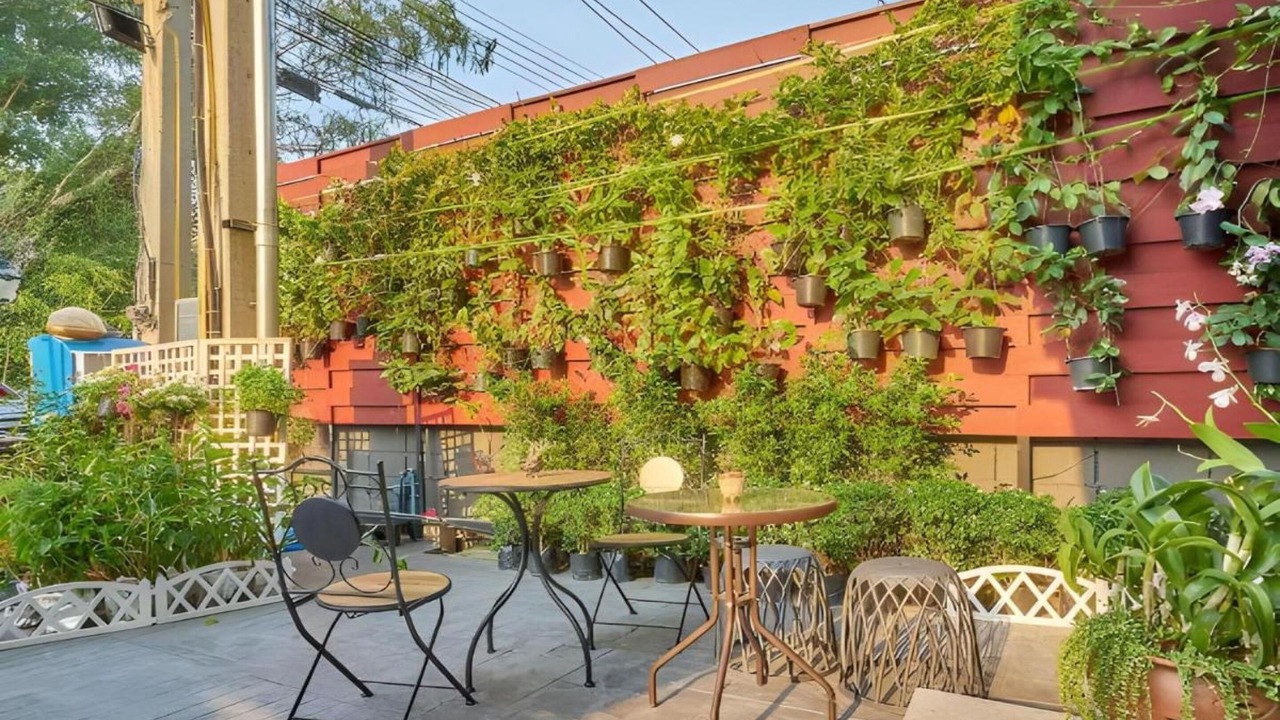 Photo of Outdoor in Chang Phueak